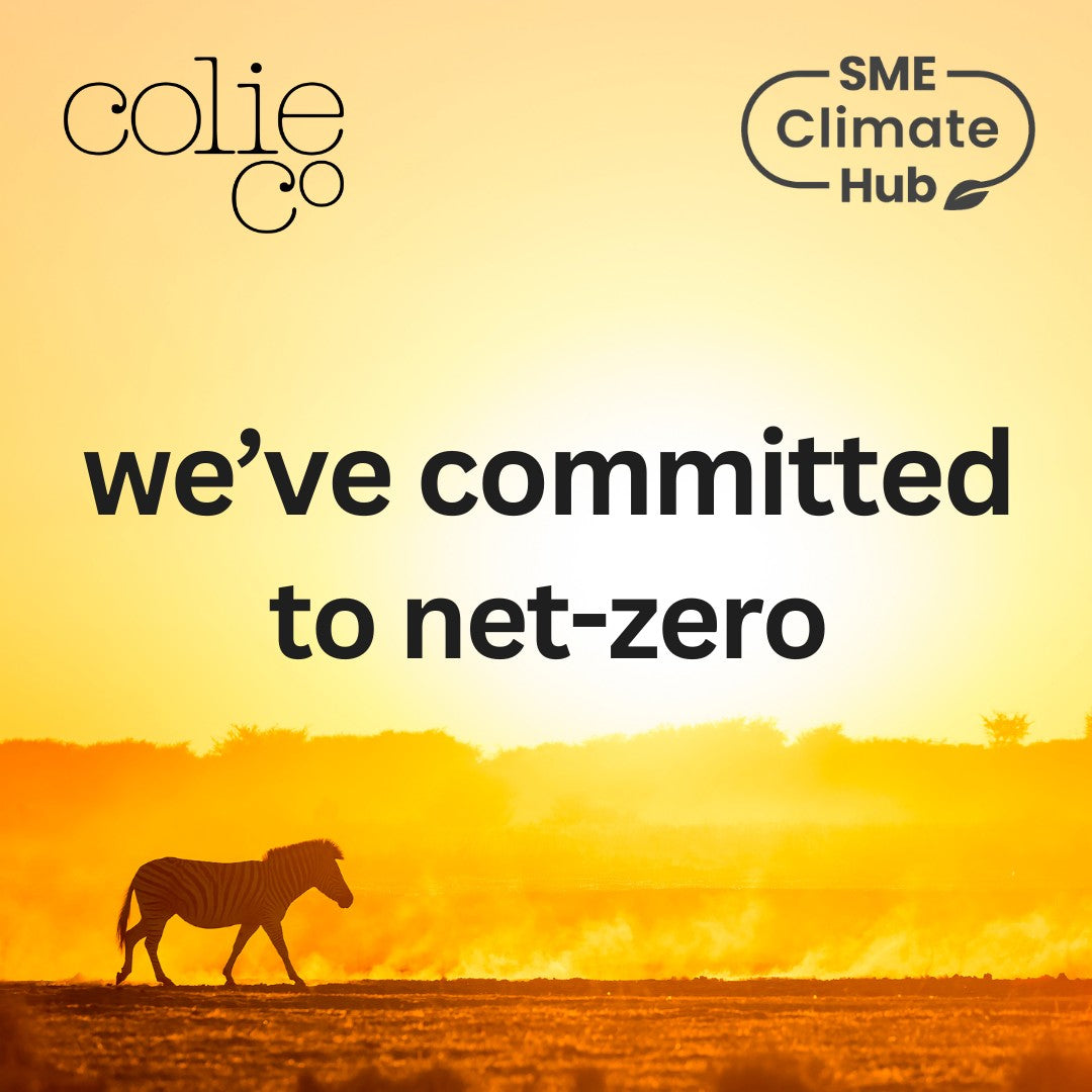 Why We've Joined The UN's Race to Zero Campaign– ColieCo